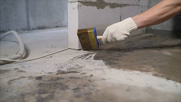 SJ Waterproofing Pros Emergency Waterproofing coverage map for Ridgewood, IL and surrounding area